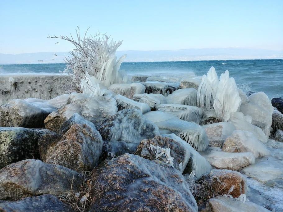 Lakefront. Appartement Pieds Dans L'Eau. View And Direct Access To The Lake. Anthy-sur-Leman Luaran gambar