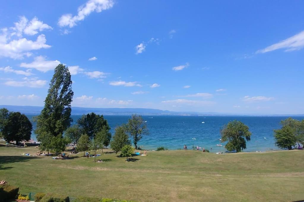 Lakefront. Appartement Pieds Dans L'Eau. View And Direct Access To The Lake. Anthy-sur-Leman Luaran gambar