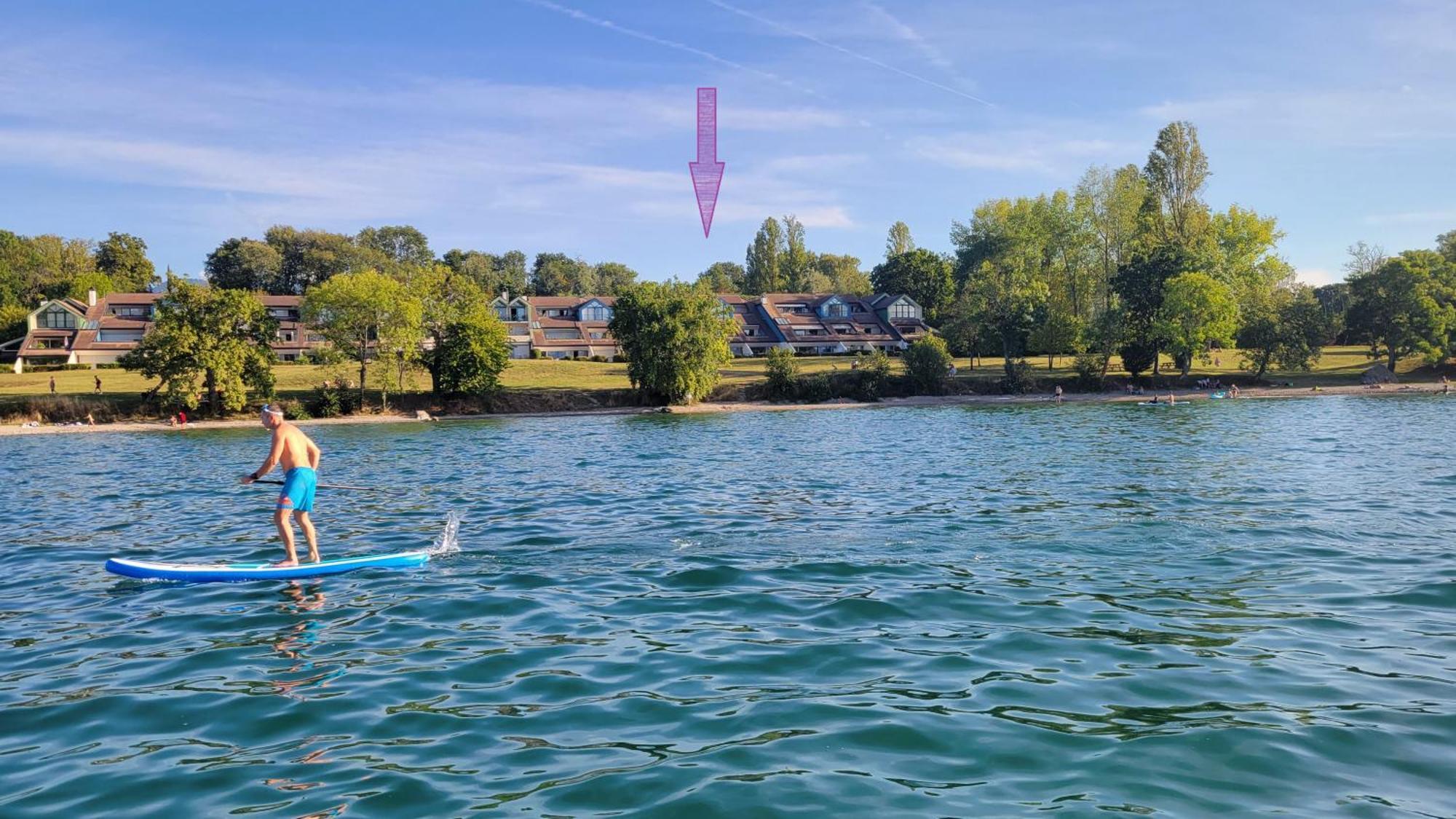 Lakefront. Appartement Pieds Dans L'Eau. View And Direct Access To The Lake. Anthy-sur-Leman Luaran gambar